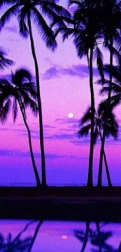 Purple sunset with palm tree silhouettes.