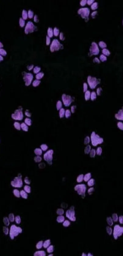 Purple paw prints on black wallpaper.