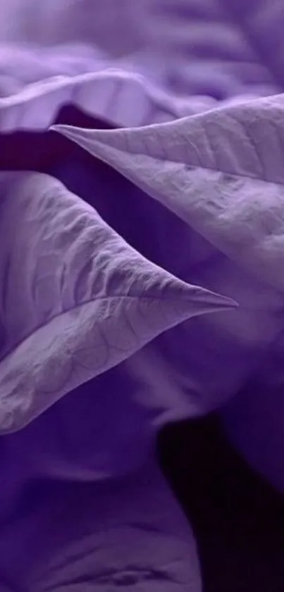 Purple abstract petals creating artistic texture.