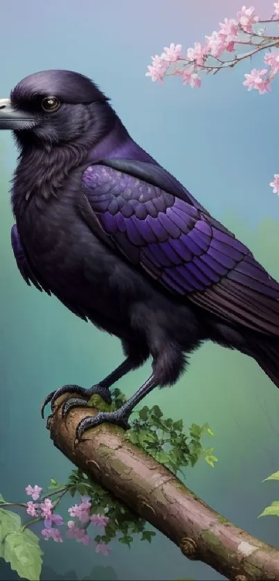 Purple raven sitting on a branch with pink blossoms.