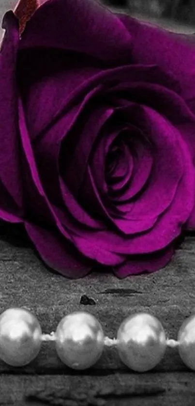 Purple rose with pearls on wooden background.