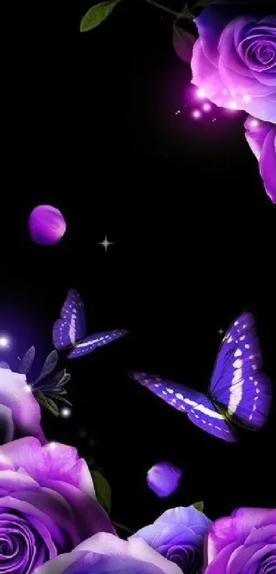 Purple roses and butterflies on a black background wallpaper.