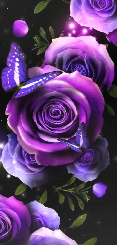 Purple roses with butterflies on a dark backdrop.