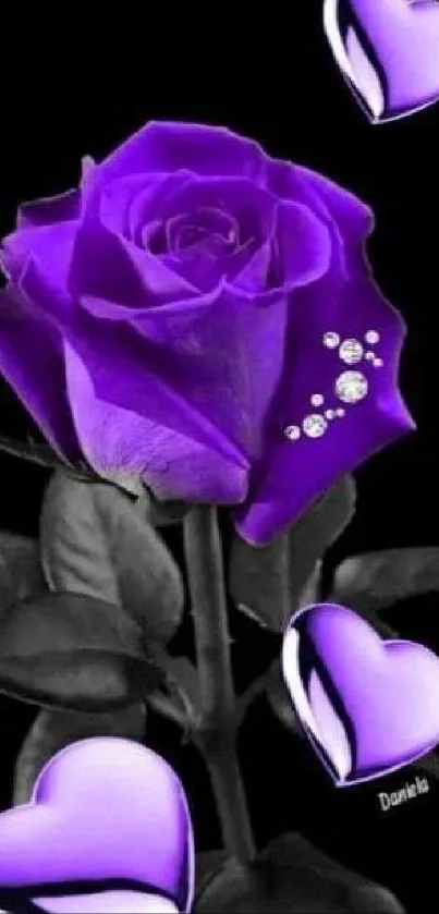 Purple rose with sparkling hearts on a dark background.