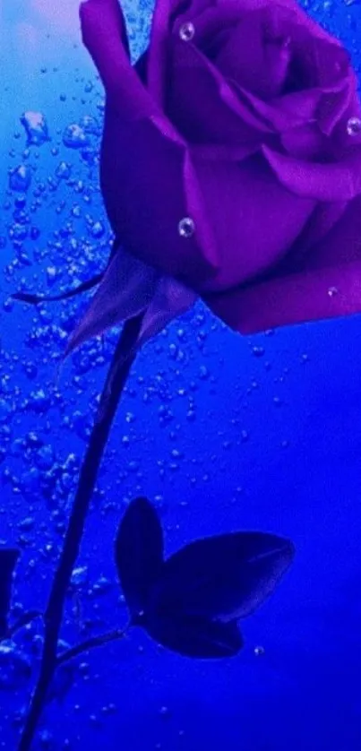 Purple rose submerged in shimmering blue water with air bubbles.