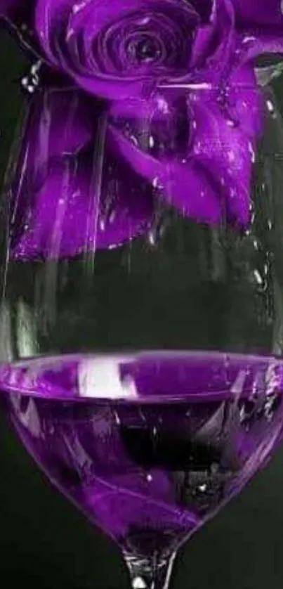 Purple rose inside a glass with droplets.