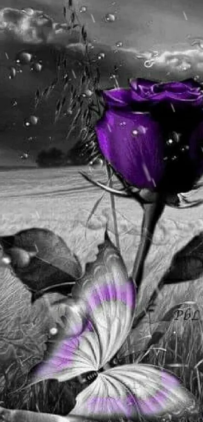 Purple rose and butterfly in a rainy field wallpaper.