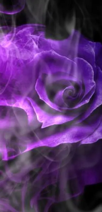 Purple rose with smoky swirls on black background wallpaper.