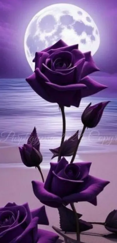 Purple roses and full moon over a quiet beach.