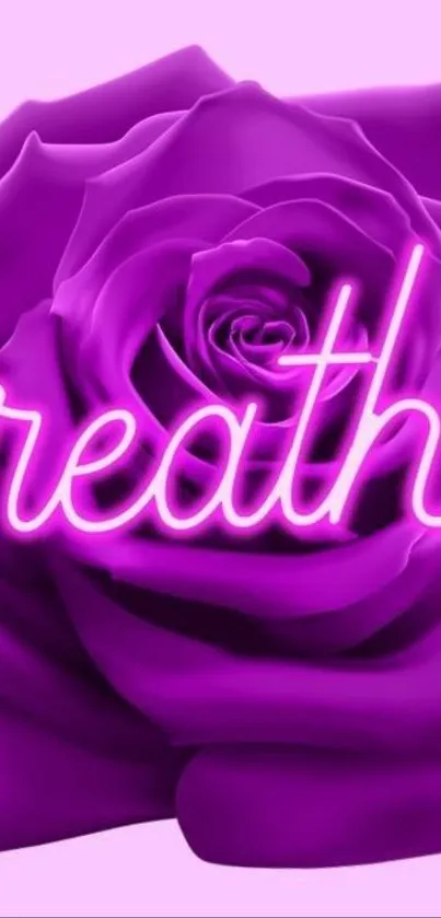 Purple rose with neon text 'breathe' glowing beautifully.