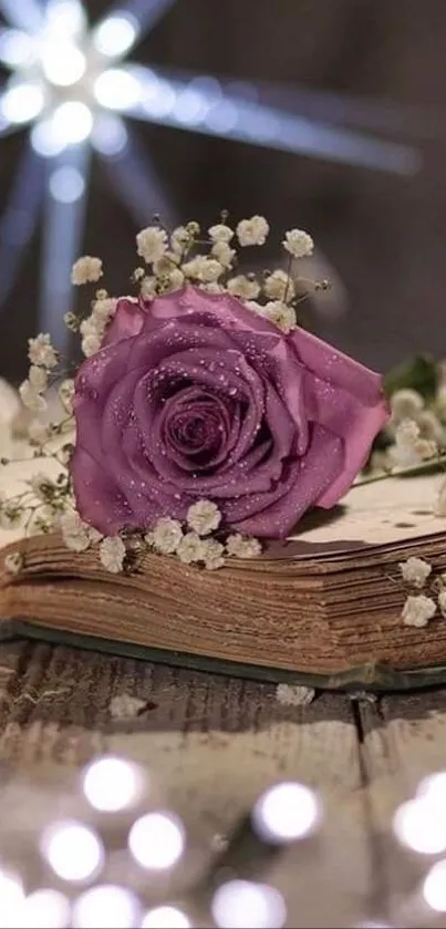 Purple rose on a vintage open book with bokeh lights.