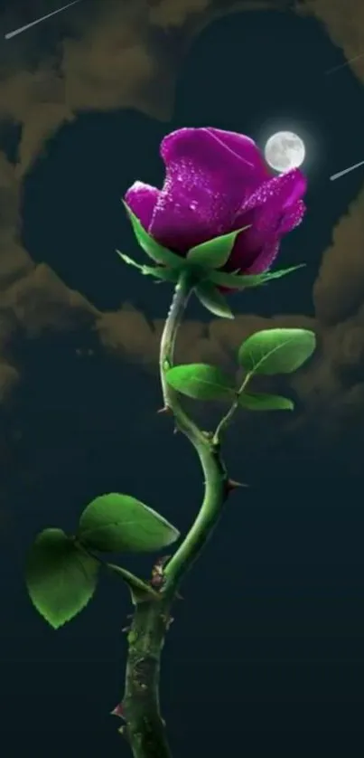 Purple rose under moonlight against a dark sky.