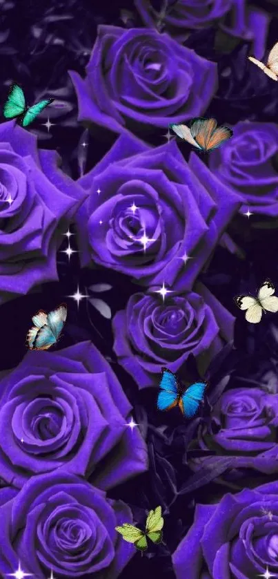 Purple roses with colorful butterflies fluttering around.