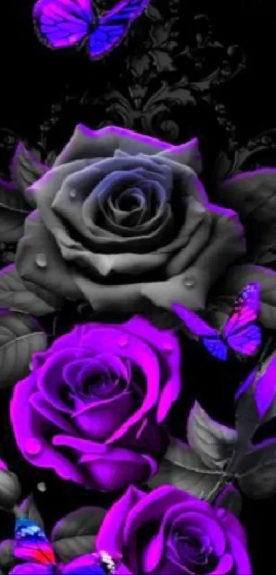 Vibrant purple roses and butterflies on a black background mobile wallpaper.