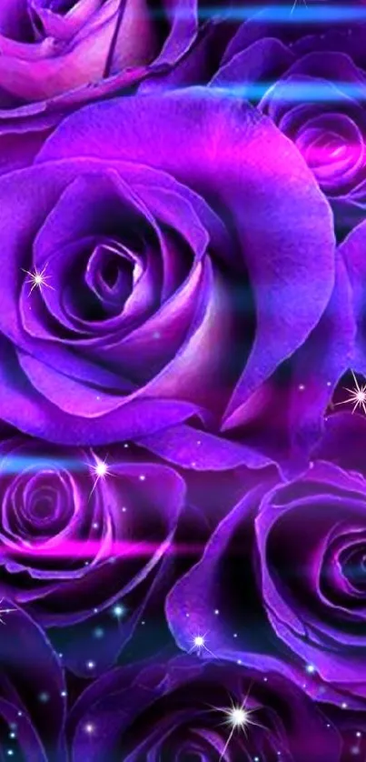 Purple roses with sparkles wallpaper.