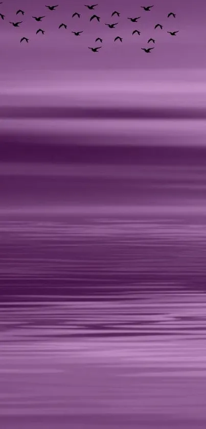 Purple gradient wallpaper with birds flying.