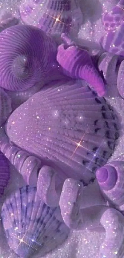 Purple seashells on glittery sand wallpaper.