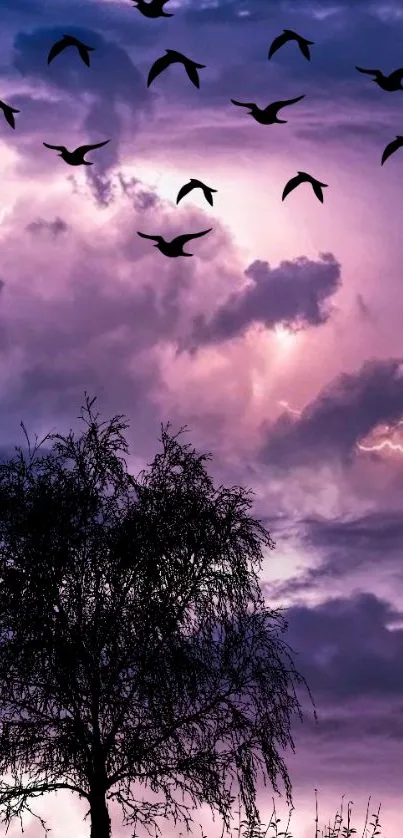 Silhouetted birds and tree against a pastel purple sky.