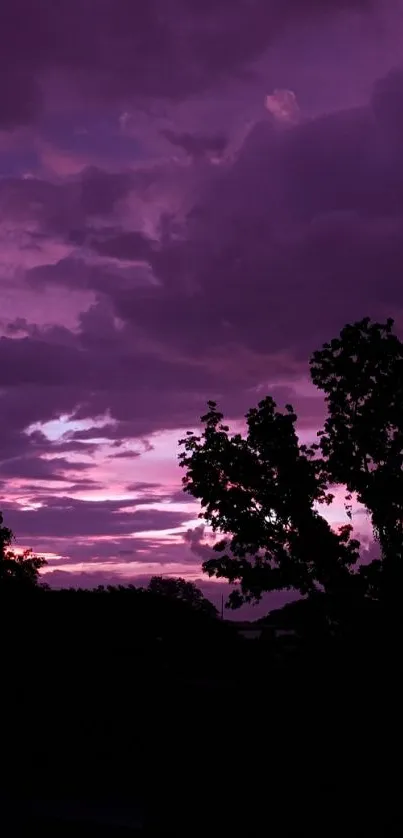 Purple sky with tree silhouette at dusk.