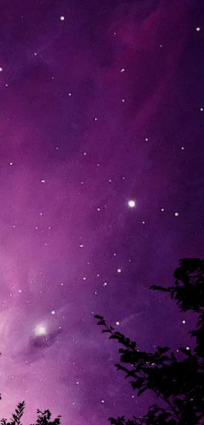 Purple night sky with stars and silhouette trees.