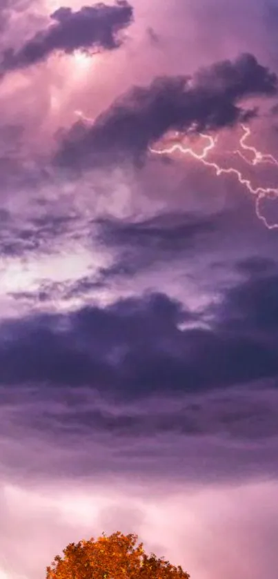 Dramatic purple storm with lightning and vibrant clouds wallpaper.