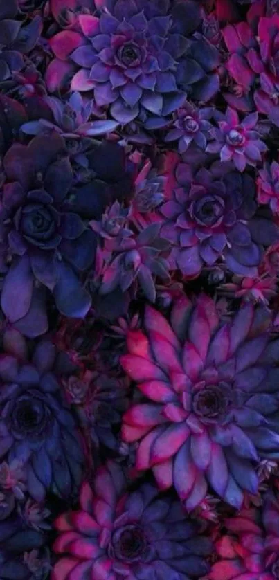 Purple and pink succulent floral wallpaper with vibrant color.