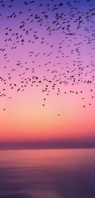 A serene sunset with birds against a purple and pink sky, perfect for mobile wallpaper.