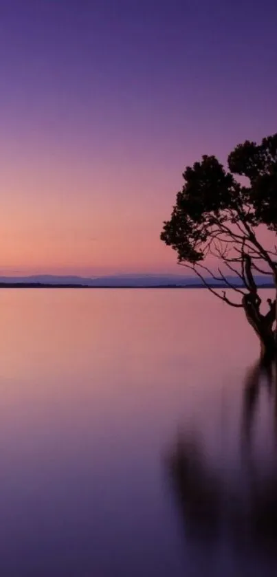 Purple sunset over lake with tree silhouette wallpaper.