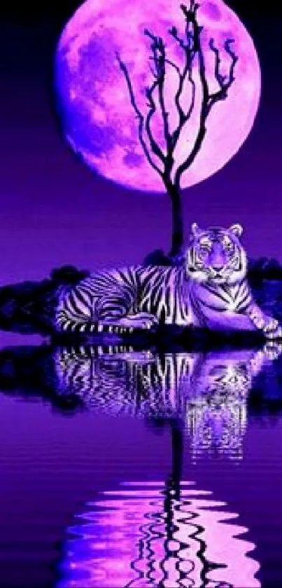 Purple tiger under a mystical full moon with reflection on the water.