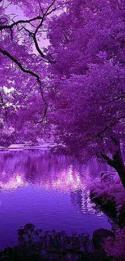 Beautiful purple forest scene with reflective lake.