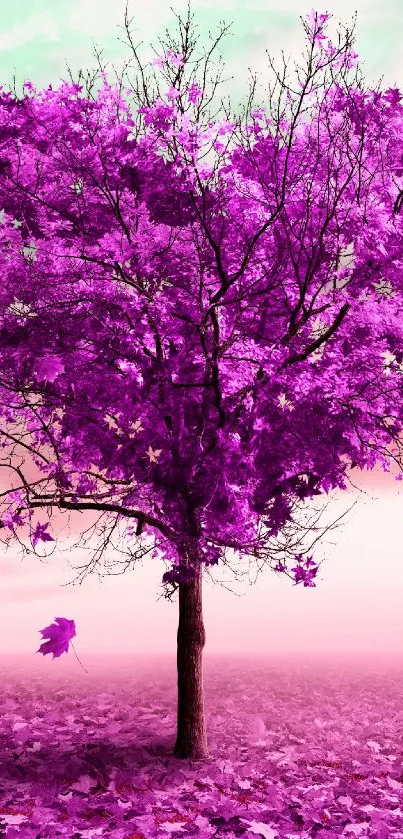 Beautiful purple tree with pink leaves in a vibrant landscape.