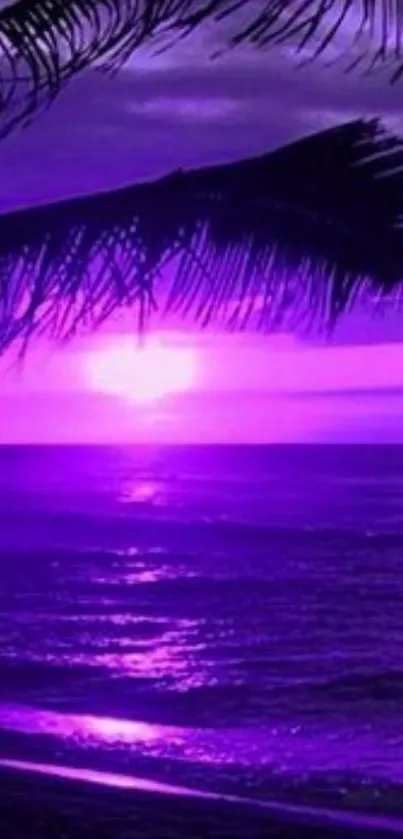 Purple sunset with palm tree silhouette over ocean waves.