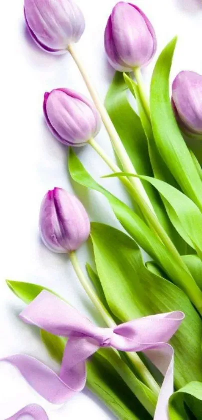 Beautiful wallpaper with purple tulips and green leaves.