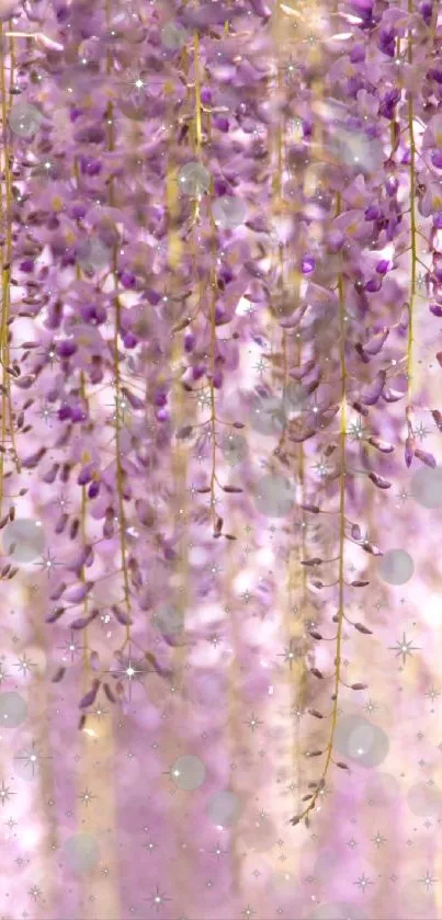 Purple wisteria flowers hanging with soft bokeh background creating a dreamy effect.