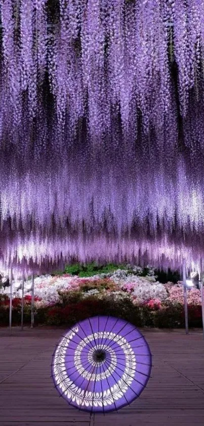 Purple wisteria blooms creating a serene garden wallpaper.