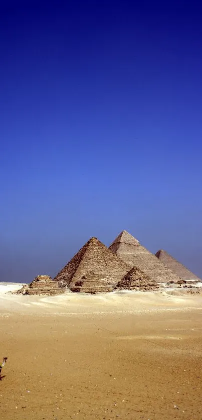 Stunning wallpaper of Pyramids under a vast blue desert sky.