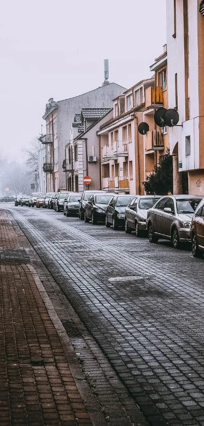 Quiet urban street with parked cars and cozy buildings under a misty sky.