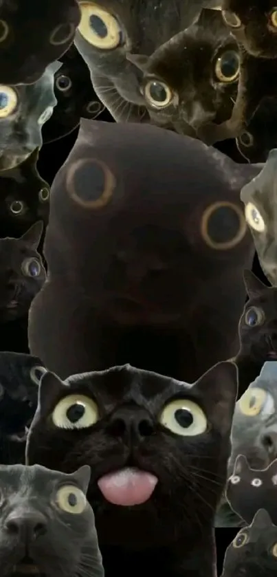 Collage of quirky black cats with big eyes, perfect for a unique wallpaper.