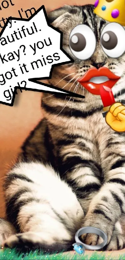 Humorous cat meme wallpaper with quirky cartoon edits.