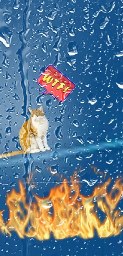 Quirky cat with fire and rain background on a mobile wallpaper.