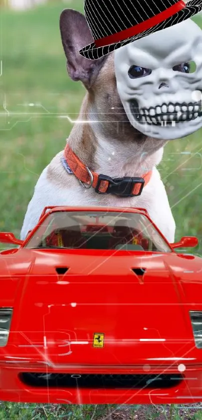 Dog with skull mask and red sports car on mobile wallpaper.