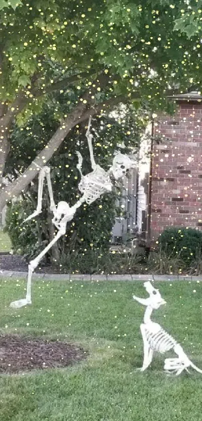 Skeleton decor in garden with tree and shrub in background.