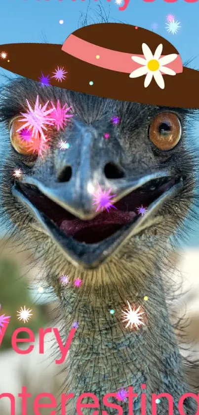 Quirky ostrich with hat and text on a blue background.