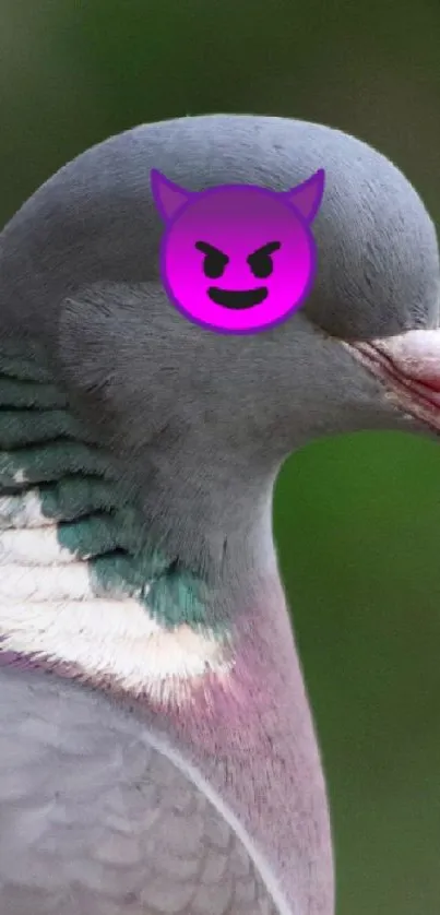 Quirky pigeon with emoji mask on green background.