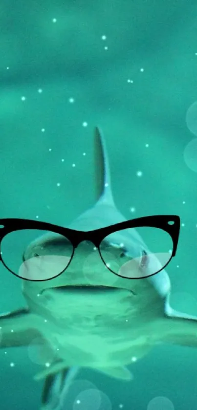 Shark wearing glasses with a turquoise background.