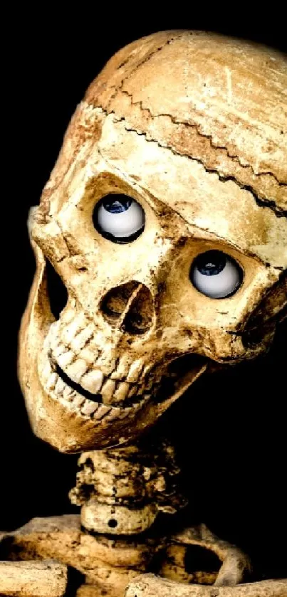 Quirky skeleton wallpaper with animated eyes and a dark background.