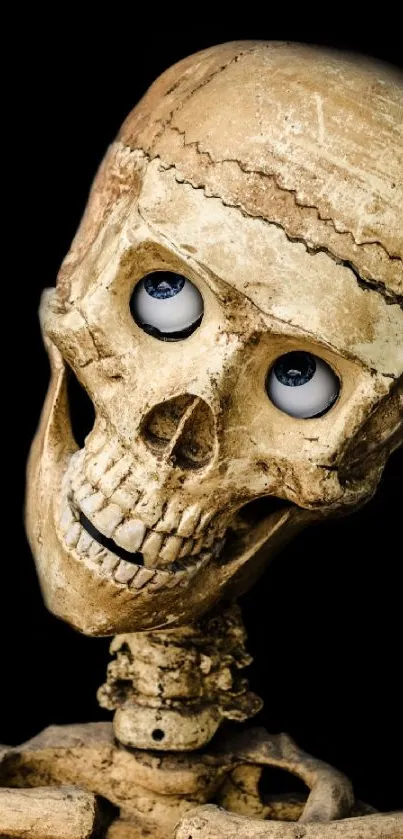 Quirky skeleton with expressive eyes on a black background.