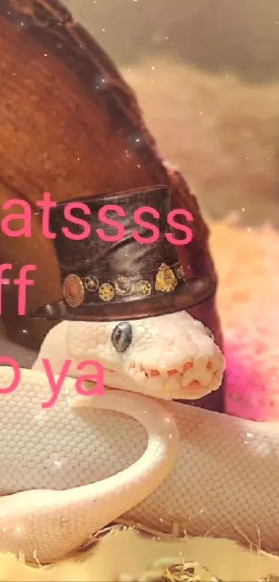 White snake with top hat and pink text on wallpaper image.