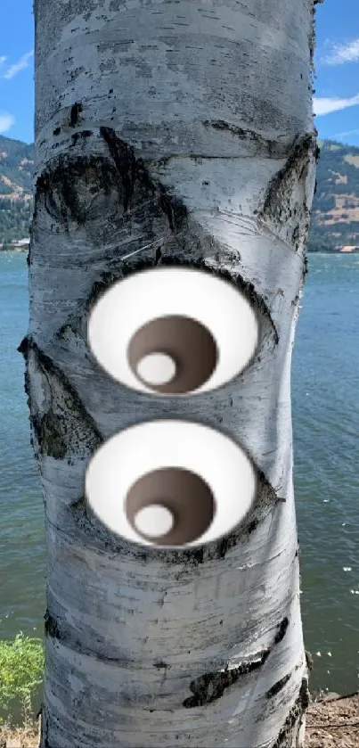 A birch tree with cartoon eyes by a lake under a blue sky.