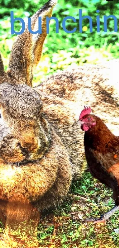 Rabbit and chicken relaxing in green grass wallpaper.